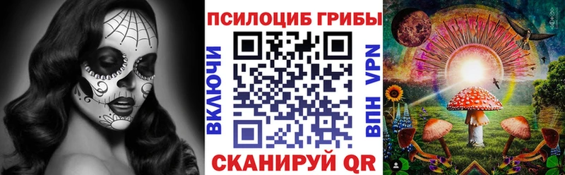 закладка  KRAKEN маркетплейс  Псилоцибиновые грибы мицелий  Сысерть 